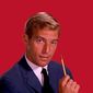 James Franciscus - poza 4