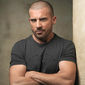 Dominic Purcell - poza 39