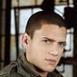 Wentworth Miller - poza 27