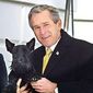 George W. Bush - poza 18