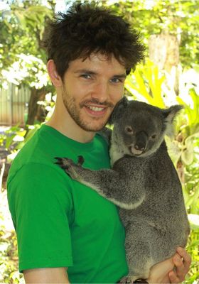 Colin Morgan - poza 8