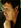 Mark Thomas