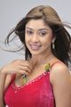 Payal Ghosh