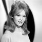 Joey Heatherton