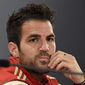 Cesc Fàbregas - poza 8