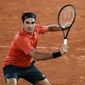 Roger Federer - poza 9