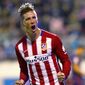 Fernando Torres - poza 11