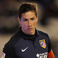 Fernando Torres - poza 2
