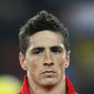 Fernando Torres - poza 1