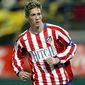 Fernando Torres - poza 7