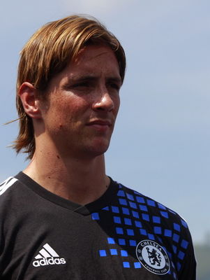 Fernando Torres - poza 6
