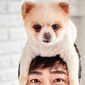 Kang Ji-Hwan