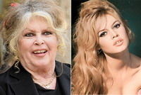 Poza-soc: Brigitte Bardot la 73 de ani