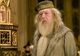 Albus Dumbledore este homosexual