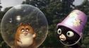 Articol Radulescu si Otil, pisica maidaneza si hamster in Bolt 3D