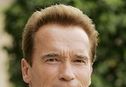 Articol Schwarzenegger in The Expendables
