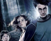 Seria Harry Potter - în cifre, recorduri şi curiozităţi