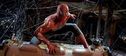 Articol Culmea fobiei: Spider-Man se teme de păianjeni!