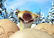 Ice Age 3, cel mai vizionat film al anului