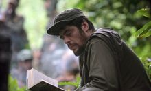 Benicio Del Toro - premiat de cubanezi