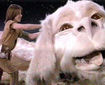 dragonul Falkor şi Atreyu (Neverending Story)