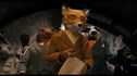 Articol Wes Anderson - înnebunit după Mr. Fox