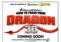 Articol Afiş la How to Train Your Dragon