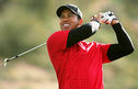 Articol Tiger Woods ar putea juca în continuarea comediei The Hangover