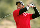 Tiger Woods ar putea juca în continuarea comediei The Hangover
