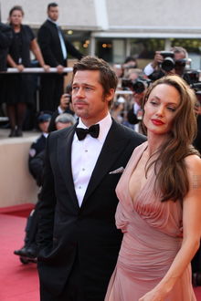 Brad Pitt şi Angelina Jolie îşi spun adio