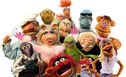 Articol James Bobin va regiza următorul film Muppets