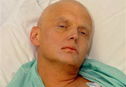 Articol Mike Newell va regiza un film despre asasinarea lui Litvinenko