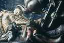 Articol Ridley Scott dezvăluie detalii despre Alien 5!