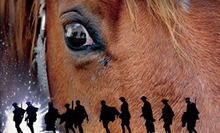 Distribuţia War Horse, noul film al lui Spielberg