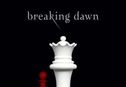Articol Pregătirile, în linie dreaptă pentru The Twilight Saga: Breaking Dawn