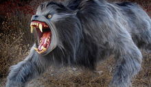 Fernley Phillips va scrie scenariul noului An American Werewolf in London