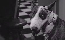 Frankenweenie, noul film al lui Tim Burton, va fi lansat în 2012