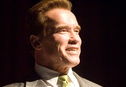 Articol Schwarzenegger ar putea juca într-o dramă de război