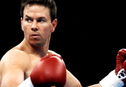 Articol Mark Wahlberg luptă pentru continuarea lui The Fighter