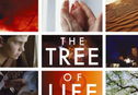 Articol Poster Tree of Life: Un mozaic de imagini superbe