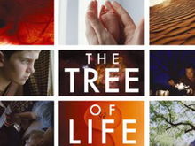 Poster Tree of Life: Un mozaic de imagini superbe
