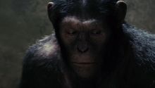 Imagine cu maimuţele din Rise of the Planet of the Apes