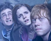 Imagini noi din Harry Potter and the Deathly Hallows 2