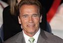 Articol Motivul despărţirii: Schwarzenegger are un copil în afara căsătoriei