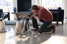 Cronică: Pinguinii domnului Popper