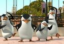 Articol ﻿Pinguinii, staruri de cinema