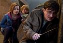 Articol Cronică: Harry Potter 7-2