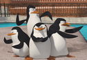 Articol Pinguinii din Madagascar, într-un film al regizorului lui Bee Movie