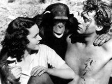 Cheetah, maimuţa din filmele cu Tarzan, moartă la 80 de ani?