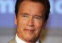 Articol În noul său film, Arnold Schwarzenegger va fi „un fel de înger”